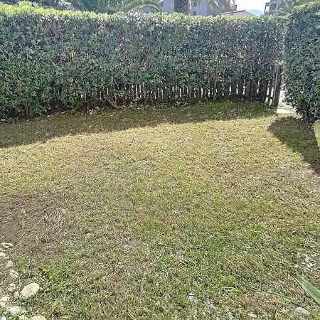 Apartment En Rdc Avec Jardin Privatif Et Piscine, A 50m De La - Saint-cyprien - Fr-1-732-6 Saint-Cyprien (Pyrenees-Orientales)