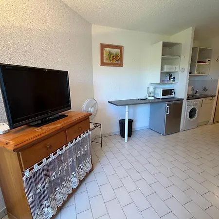 Cyprien A 50m De La - Fr-1-732-6 Saint-Cyprien (Pyrenees-Orientales)